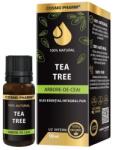 Cosmo Pharm TEA TREE Ulei Esential De Arbore De Ceai 10ml 100% Pur