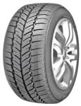 RoadX RxFrost WH01 205/60R16 96H XL (6959655446548) - tireo