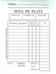 BiroCo Nota de plata, format A6, 2 exemplare, 100 file, hartie autocopiativa (BIRO0041)