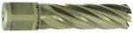 Karnasch Carota cu prindere weldon Karnasch Gold-Line 14 mm x 55 mm (201270U014)