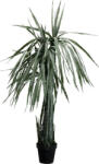 KARE Design Dragon Tree műnövény 155 cm zöld karbantartásmentes (55916)