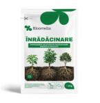 Bloomelia Ingrasamant hidrosolubil BLOOMELIA INRADACINARE - 20 gr, NPK 13-40-13 pentru Rasaduri, Butasi, Puieti (PR-104530)