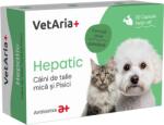 VetAria+ Suplimente VetAria+ Hepatic 30 capsule
