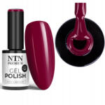 NTN Premium Hibrid lakk Ntn Premium Passion for Love 204 Cseresznyepiros árnyalat