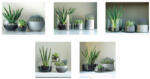 AdTrend Set 5 tablouri decorative olegrafie pe panza Flowers II 3 x 15 x 20 cm, 2 x 25 x 25 cm (119614B)