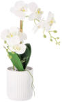 AdTrend Orhidee artificiala alba in ghiveci 11 x 44 cm (119403C)