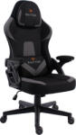 RAPTOR-GAMING Fury Scaun Gaming cu Brațe Reglabile Gri (162767589)