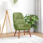 vidaXL Scaun de relaxare, verde deschis, catifea GartenMobel Dekor (4102613)