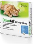Vetoquinol Drontal tratament antiparazitar pentru pisici (2 tablete) (5909990034383)