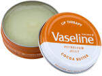 Vaseline Balsam de buze Vaseline Lip Therapy Cocoa Butter 8718114642871 (8718114642871)