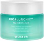 MIZON Cicaluronic Хидратиращ крем за лице, 50 ml