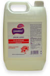 Farmec Sapun lichid cu glicerina cu efect antibacterian, formula eficienta de prodectie, Farmec, 5 litri (SapunLichidGlicerina)