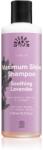 Urtekram Soothing Lavender sampon cu efect calmant pentru un par stralucitor si catifelat 250 ml