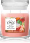 Yankee Candle White Strawberry Bellini lumânare parfumată 368 g