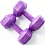 FitTronic Set gantere hexagonale FitTronic 2 x 3 Kg (DH2X3)