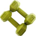 FitTronic Set gantere hexagonale FitTronic 2 x 2 Kg (DH2X2)