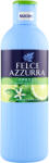 Felce Azzurra Gel de dus Felce Azzurra Fresco e fiori di cedro, 650ml (9957536801)