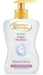 Spuma di Sciampagna Sapun lichid igienizant Spuma si Sciampagna pentru maini si fata cu apa micelara, 400ml (Sapun-SS-apamicelara-400ml)