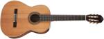 Ortega Guitars R20GWN - kytary