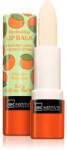 IDC Institute Skin Food ajakbalzsam árnyalat Mango 3.5 g