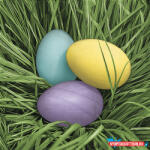 Húsvét Pastel Eggs in Grass szalvéta 20 db-os 33x33 cm (JAV_PKK045545)
