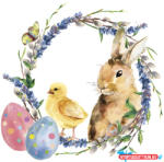 Húsvét Chicken & Rabbit szalvéta 20 db-os 33x33 cm (JAV_PKK049581)