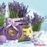 Virág Levendula Indoors szalvéta 20 db-os 33x33 cm (JAV_PKK024267)