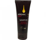 Farmec Sampon Farmec Argan Plus Jojoba, 40 ml (FMC63820)