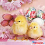 Húsvét Lovely Chickens szalvéta 20 db-os 33x33 cm (JAV_PKK029750)