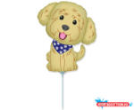 Kutyás Cobberdog mini fólia lufi (WP) (JAV_MLG325263)