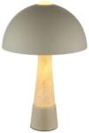 GLOBO Paulin lampă de noapte 1x40 W gri 51070110 (51070110)