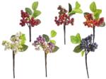  Crenguta bobite color pentru aranjamente florale (8017)