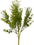 Valex Decor Műnövény bokor , 5 ágú, 37cm magas - Sötétzöld (LD102-03)