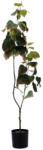 AdTrend Planta artificiala verde in ghiveci III 12, 5 x 110 cm (120568C)