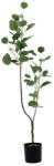 AdTrend Planta artificiala verde in ghiveci II 12, 5 x 110 cm (120568B)