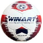 Winart Sala Plus minge fotbal 4 (Sala04)