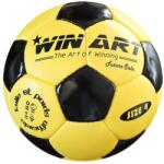 Winart Future minge fotbal sala (0201)