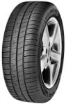 Goodyear Efficientgrip Performance (fiat) 205/55 R16 91v