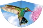 Günther - Kolibri 75x48 cm (1178)