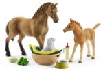 Schleich Set figurine Schleich, Ingrijirea animalutelor Sarei Papusa