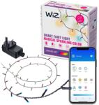 WiZ Fairy Light