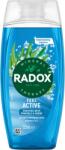Radox Feel Active 225 ml