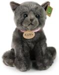 Rappa Jucărie de pluș Rappa Eco Prieteni - Pisică British Shorthair gri, 25 cm (230767)