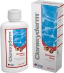 I. C. F. S. r. l. INDUSTRIA CHIMICA FINE Clorexyderm Forte sampon 200 ml