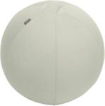 Leitz Active ülőlabda nehezékkel 55cm - világosszürke (E65410085)