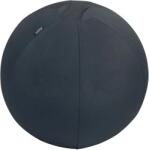 Leitz Active ülőlabda nehezékkel 55cm - sötétszürke (E65410089)