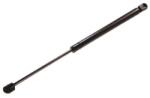 MTR Amortizor portbagaj MTR 12189252 (12189252) - fixbox