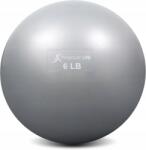 prosourcefit Fitnesz Jóga Rehabilitációs Súlyzó Labda 2, 7KG Szürke (PROSOURCEFIT 2,7KG SZARA)
