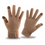 Iwarm Manusi De Iarna Tactile Iwarm ST0016, Marime 22cm, Maro - gsmboutique
