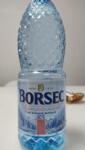 Romaqua Group Apa Plata Borsec 1L Pet